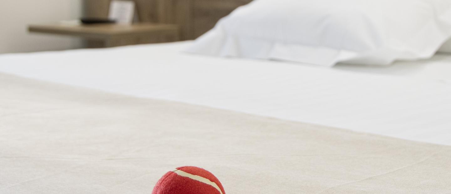 Hotel Boutique Calas de Alicante Alicante   Hotel Boutique Calas de Alicante Alicante